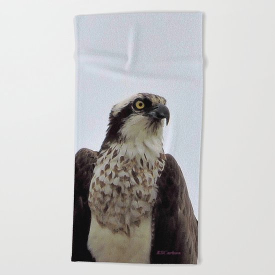 Osprey Beach Towel