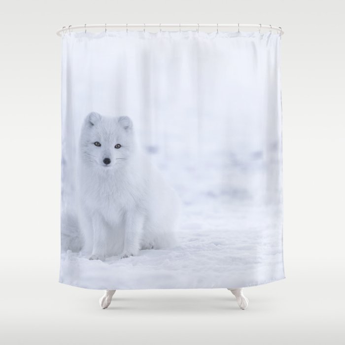 Arctic Fox (Color) Shower Curtain