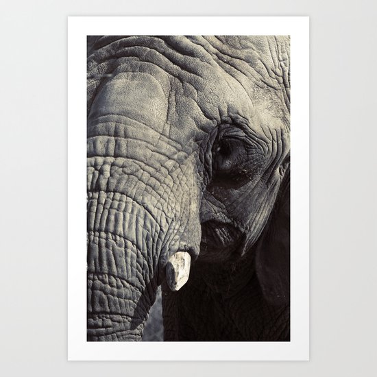 ELEPHANT OH MY! Art Print