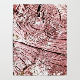 Texture design of an old rotten wood, badly cracked with time Poster