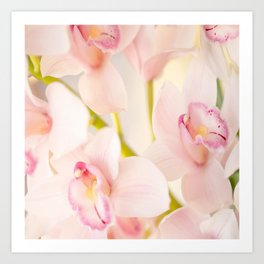 Orchid Flower Bouquet On A Light Background #decor #society6 #buyart Art Print
