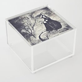 Salem's nights Acrylic Box