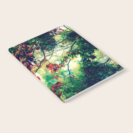 Prepare Notebook