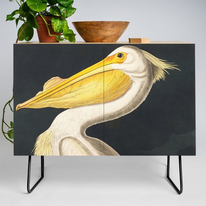 American White Pelican from Birds of America (1827) by John James Audubon Credenza