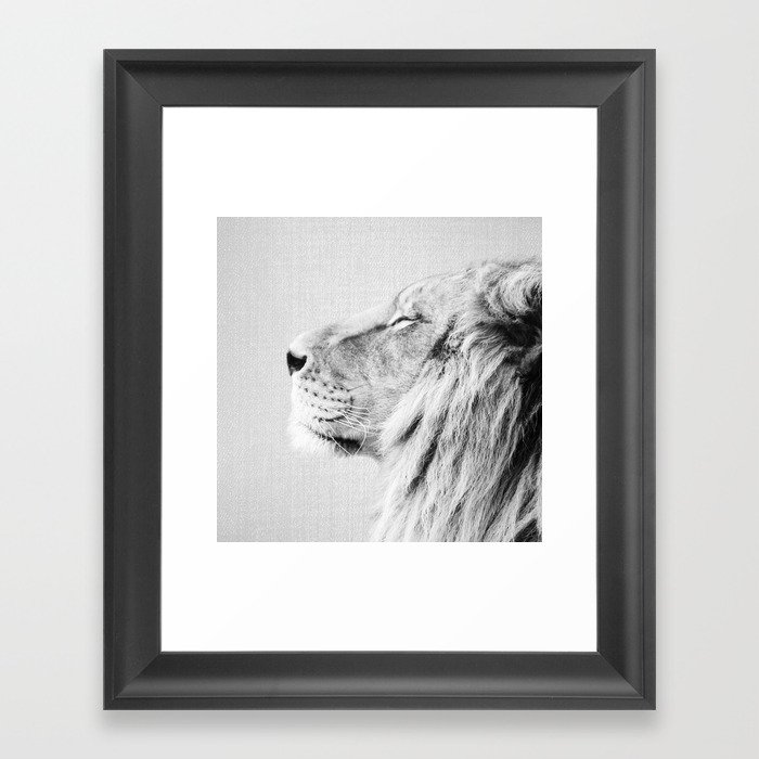 Lion Portrait - Black & White Framed Art Print