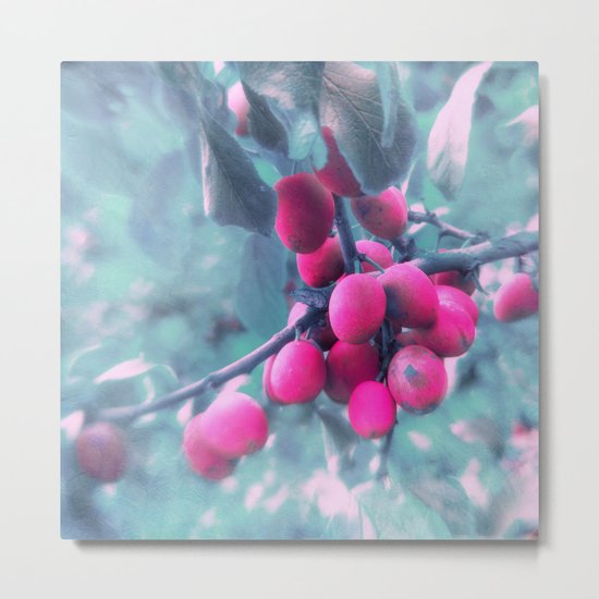 SUMMERPLUMS Metal Print
