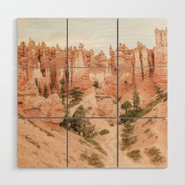 Colors Of Bryce Canyon National Park Photo Art Print | USA Landscape Nature Travel Photography Wood Wall Art
