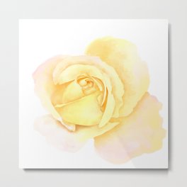 Blushing Yellow Rose Metal Print