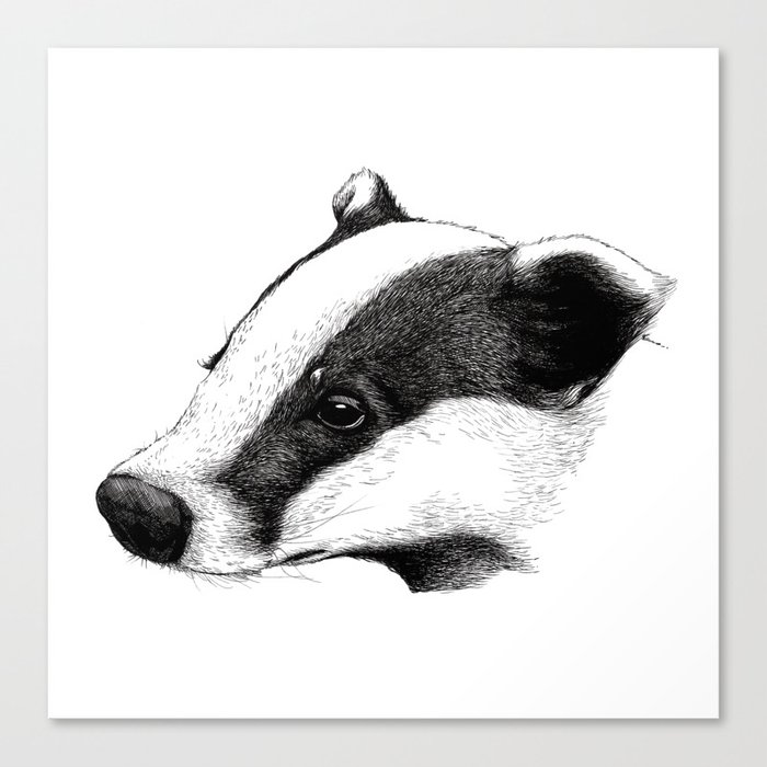 Badger Canvas Print