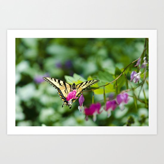 The Joy of Summer Art Print