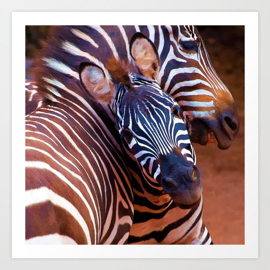 Two Zebras Playing With Each Other Art Print