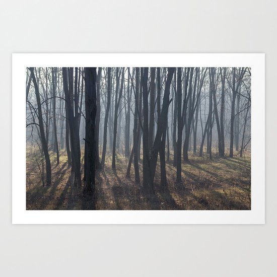 Fog Autumn forest Art Print