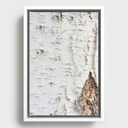 Birch bark pattern Framed Canvas