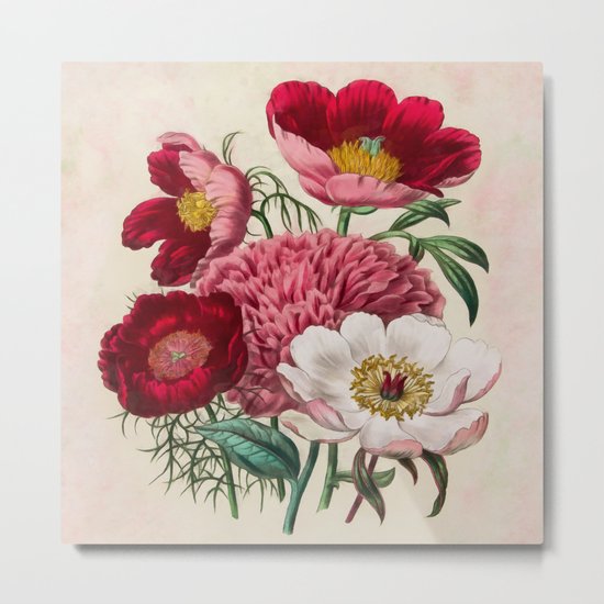 Flower garden Metal Print