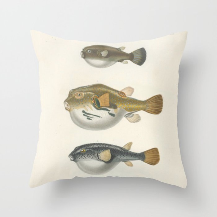 Naturalist Pufferfish Throw Pillow