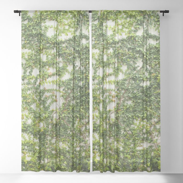 Ivy plant pattern wall Sheer Curtain
