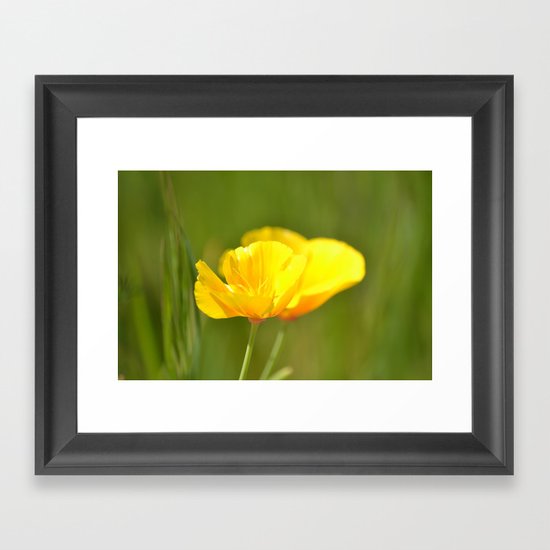 Poppies Framed Art Print