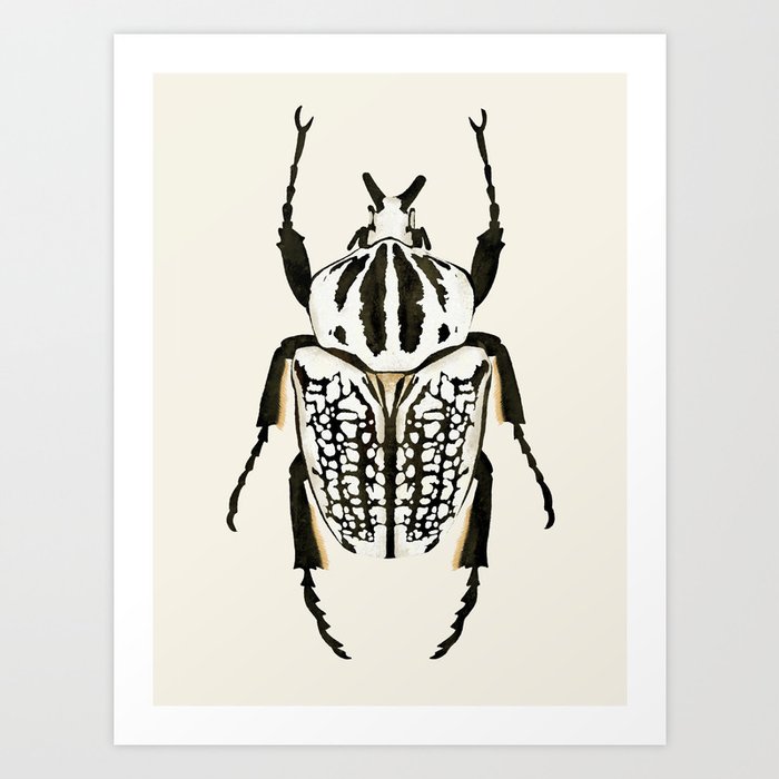  beetle insect Art Print