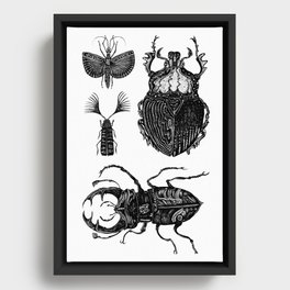 Insects Framed Canvas