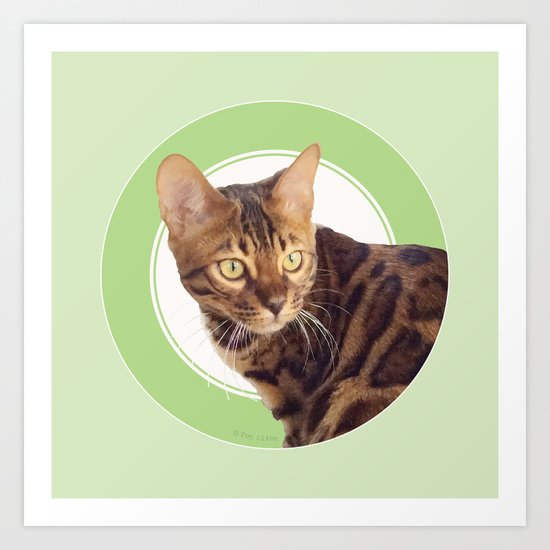 Boris the cat - Boris le chat Art Print