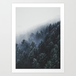 Snowy Evergreen Forest Fog (Color) Art Print