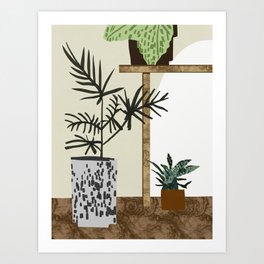 Pot plant arrangement Art Print