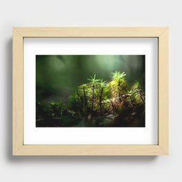 Miniature Worlds Recessed Framed Print