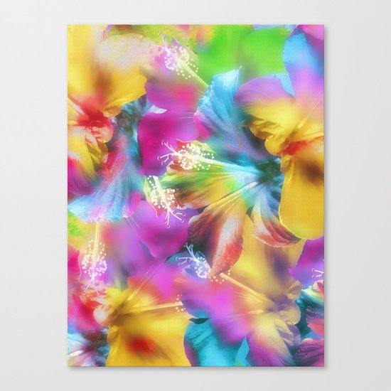 Hibiscus Dream Canvas Print