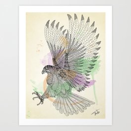 Hawk Art Print