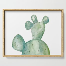 Pretty Fly for a Cacti Serving Tray