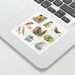 These Birds Do Not Exist, 1 Sticker