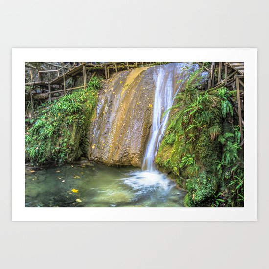 Autumn waterfall Art Print