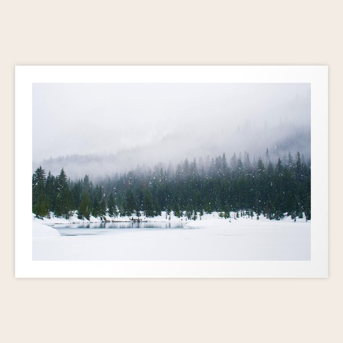 Evergreen Winter Forest Color Art Print By Nocolordesigns Society6