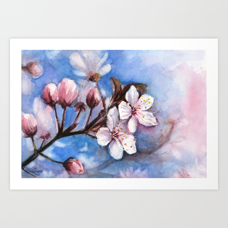 Cherry Blossoms Watercolor Spring Flowers Art Print By Olechka