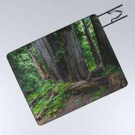 A Cedar Forest Dream Picnic Blanket