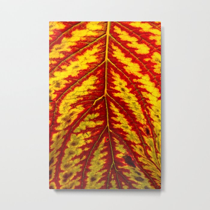 Tiger Leaf Metal Print