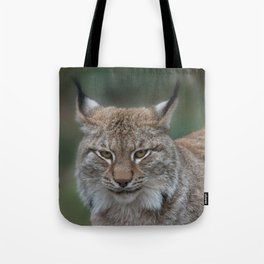 Lynx Looking At You Tote Bag