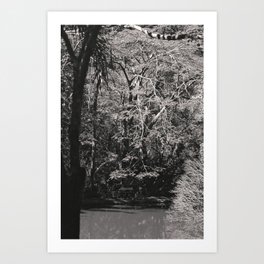 The Lake - Black and White Art Print