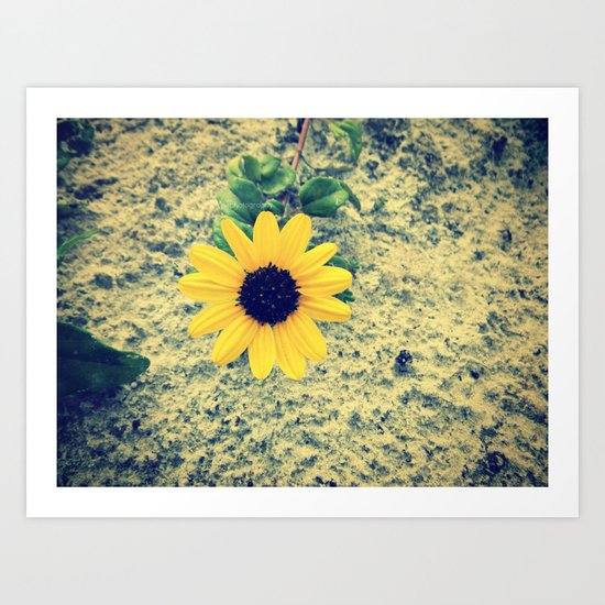 ☮☮ Art Print