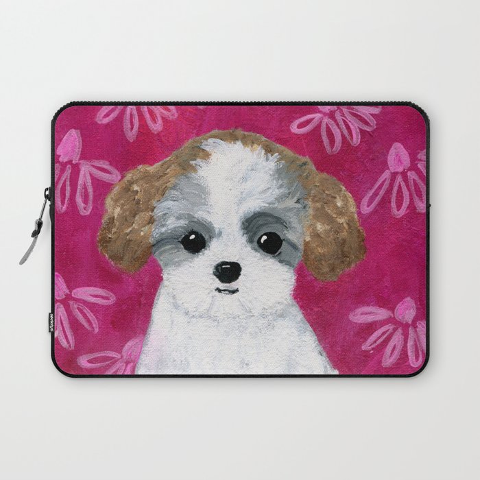 Shih tzu bichon teddy sale bear puppies