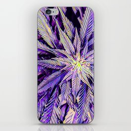 Purple Cannabis Dream iPhone Skin
