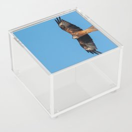 Red Kite Acrylic Box