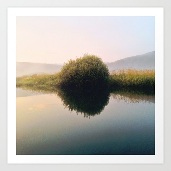 Bush Art Print