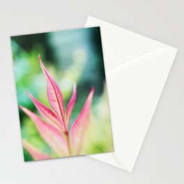 Sacred Bamboo Stationery Cards