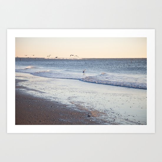 Birdy Beach Art Print