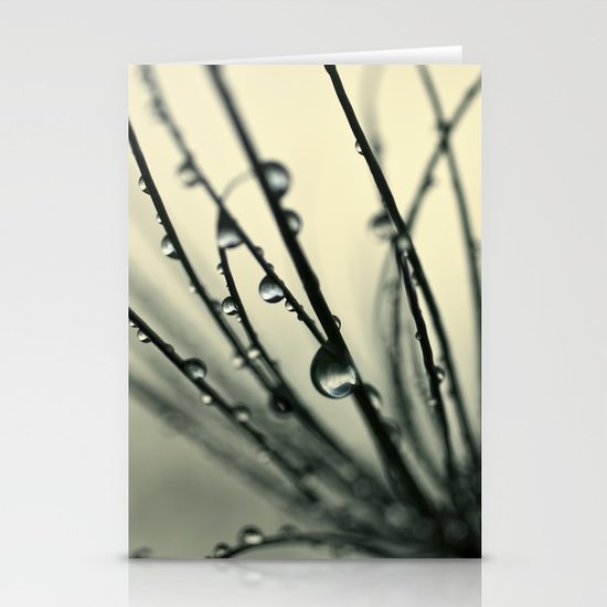 papyrus Stationery Cards