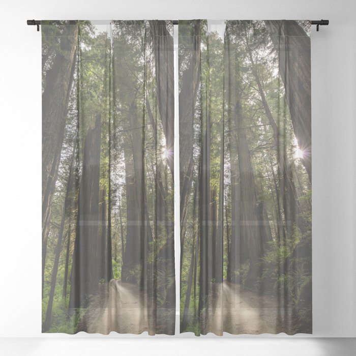 Redwoods Make Me Smile Nature Photography Sheer Curtain By