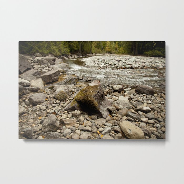 Forest River Metal Print
