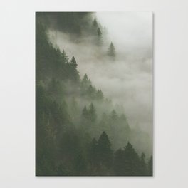 Mist between the pines Canvas Print