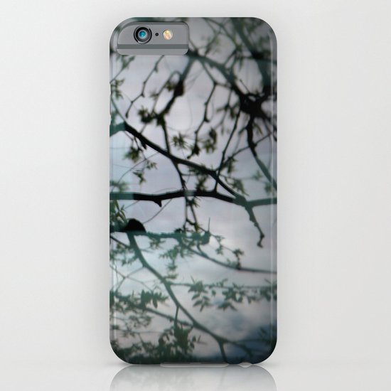 tree mystery iPhone & iPod Case